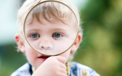 Navigating Restricted Interests: A Guide for Parents