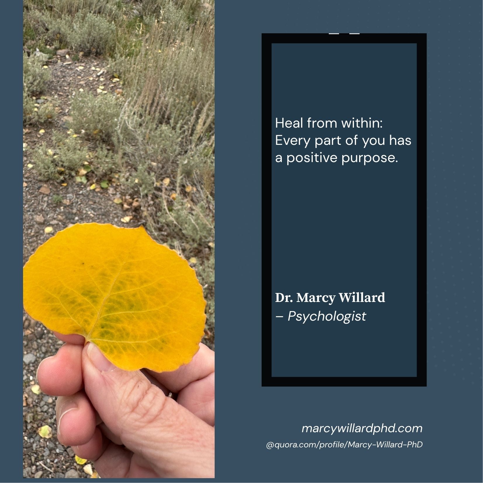 Leaf of tree with quote by Dr. Willard