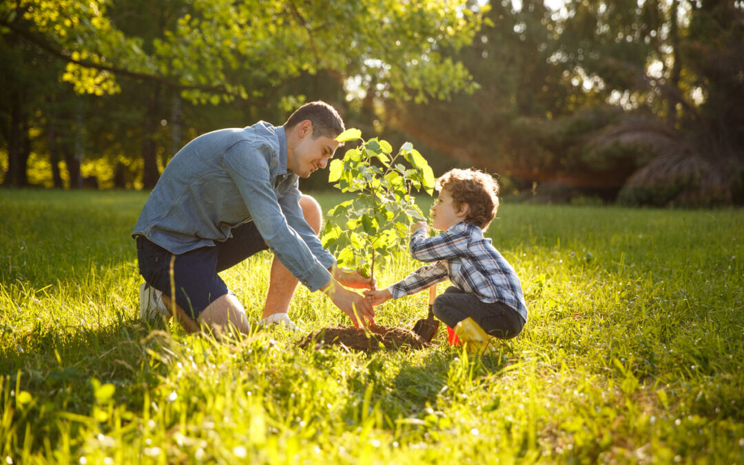 Why Parent Role Is Key