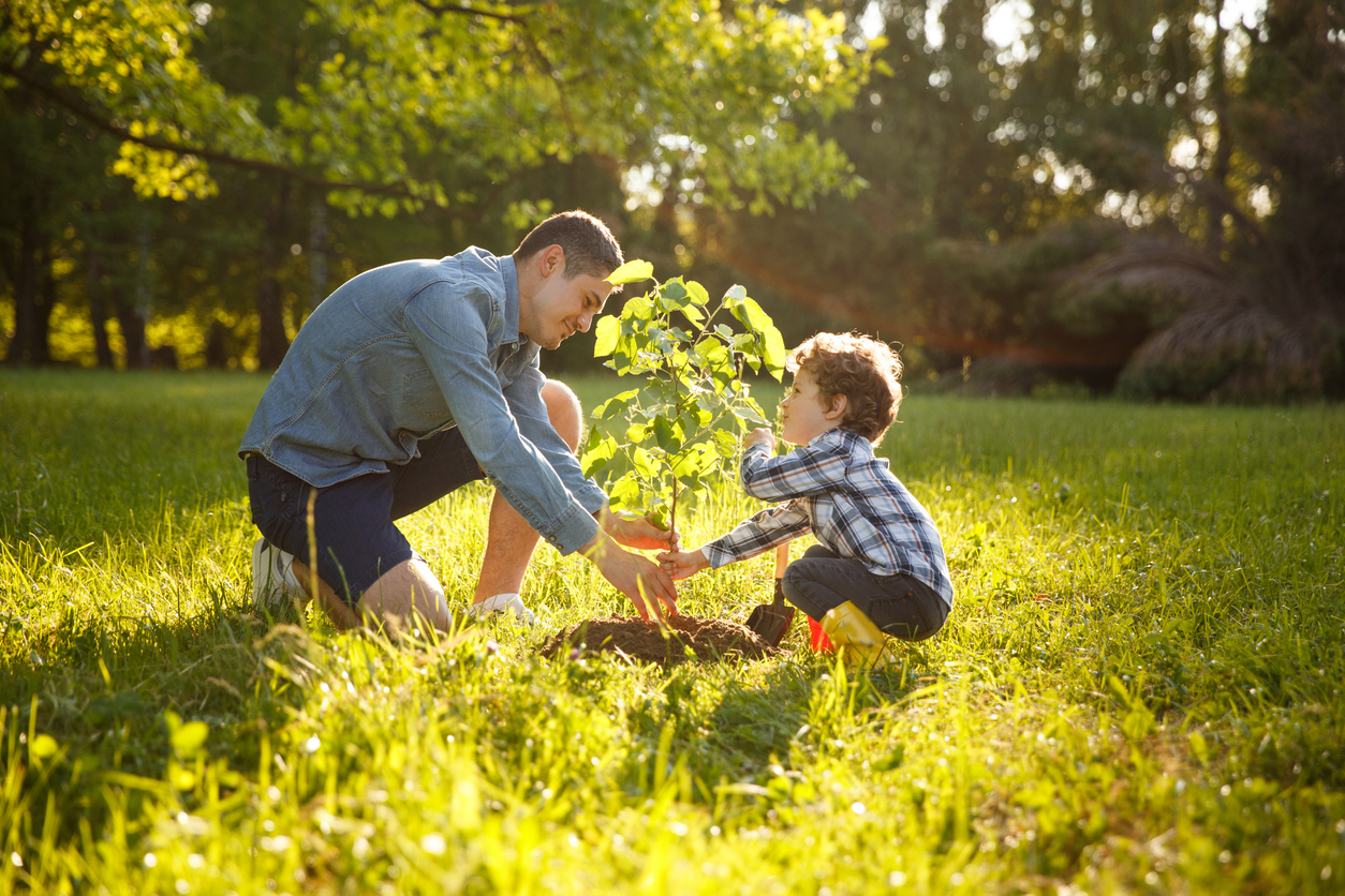Parent and child planting tree Planting tree with kids MarcyWillardPhD